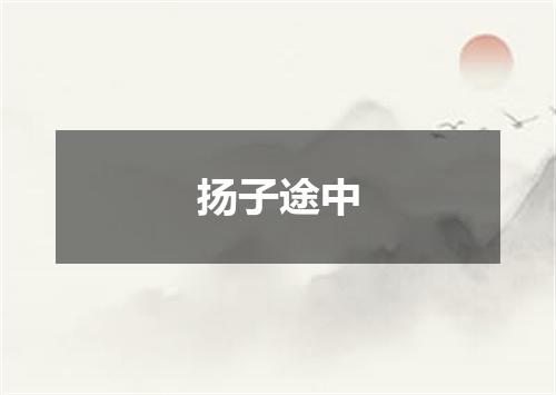 扬子途中