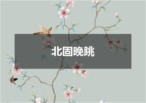 北固晚眺