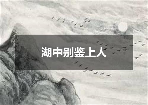 湖中别鉴上人