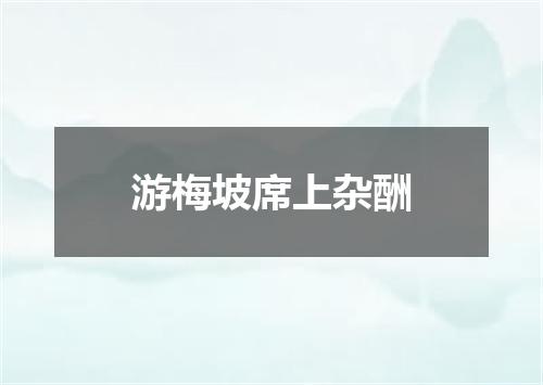 游梅坡席上杂酬