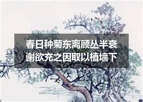 春日种菊东离顾丛半衰谢欲充之因取以植墙下