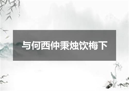 与何西仲秉烛饮梅下