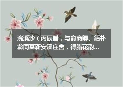 浣溪沙（丙辰腊，与俞商卿、銛朴翁同寓新安溪庄舍，得腊花韵甚，赋二首）