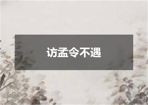 访孟令不遇