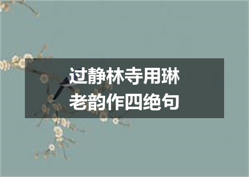 过静林寺用琳老韵作四绝句