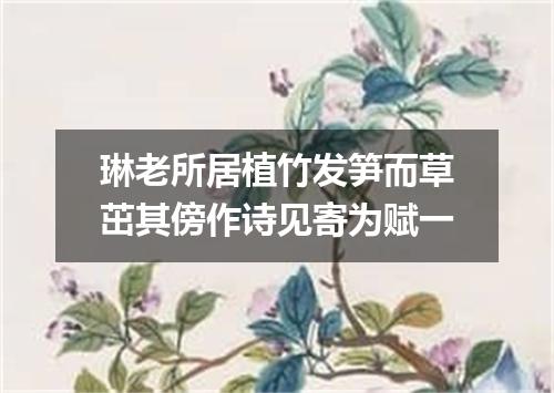 琳老所居植竹发笋而草茁其傍作诗见寄为赋一