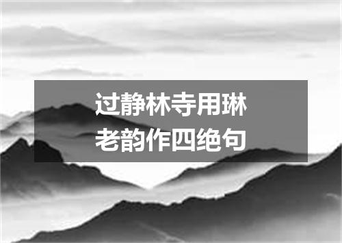 过静林寺用琳老韵作四绝句