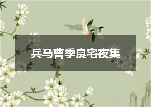 兵马曹季良宅夜集