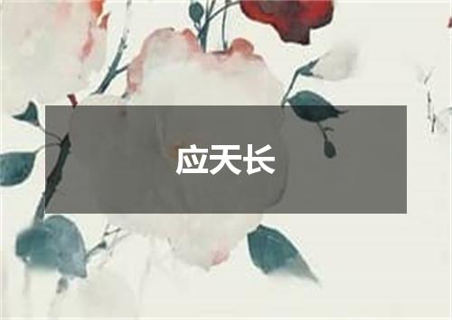 应天长