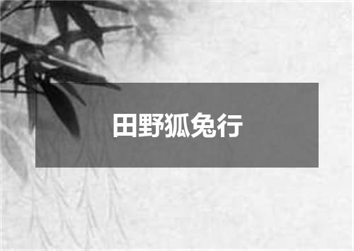 田野狐兔行