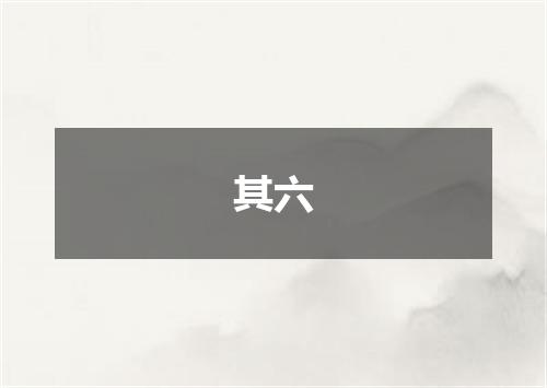 其六