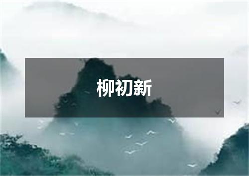 柳初新