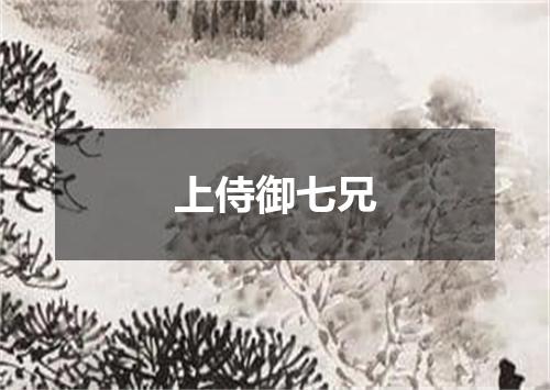 上侍御七兄