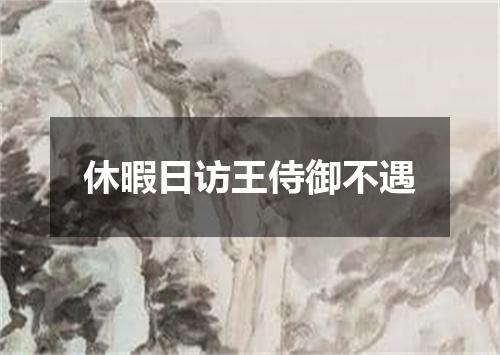 休暇日访王侍御不遇