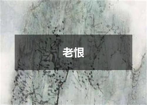 老恨