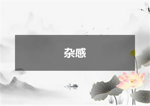 杂感