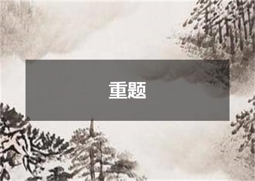 重题