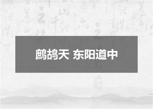 鹧鸪天 东阳道中