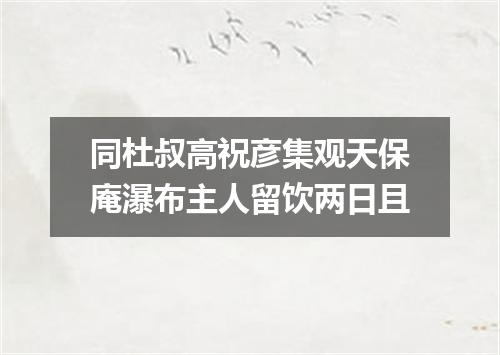 同杜叔高祝彦集观天保庵瀑布主人留饮两日且