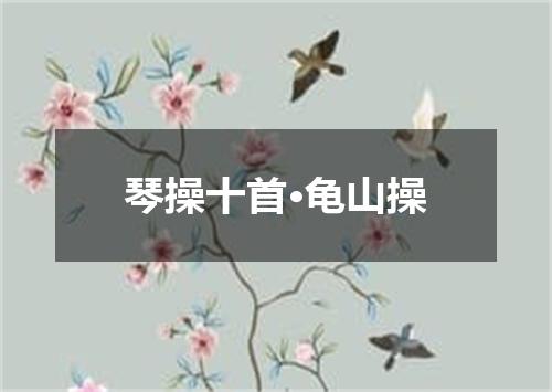 琴操十首·龟山操