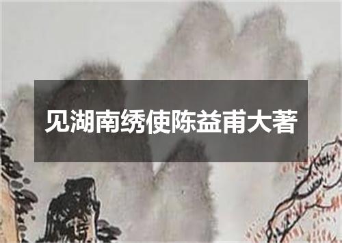 见湖南绣使陈益甫大著