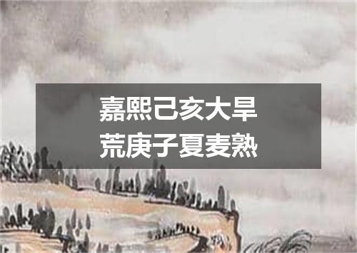 嘉熙己亥大旱荒庚子夏麦熟