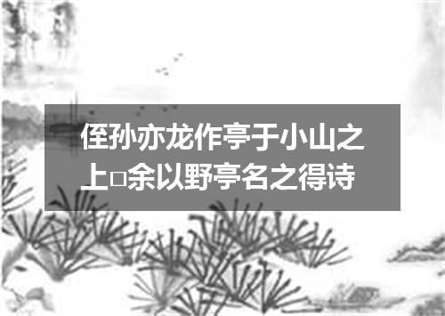 侄孙亦龙作亭于小山之上□余以野亭名之得诗