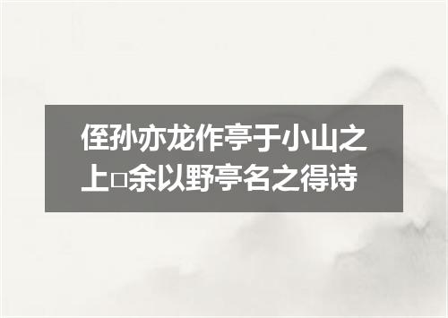 侄孙亦龙作亭于小山之上□余以野亭名之得诗