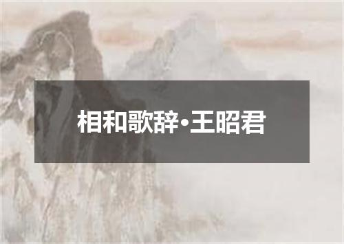 相和歌辞·王昭君