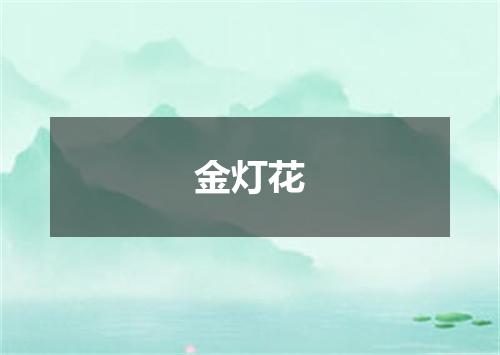 金灯花