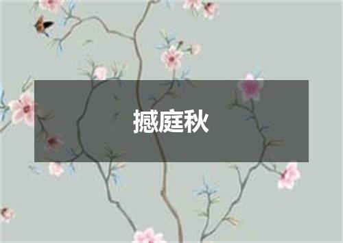 撼庭秋