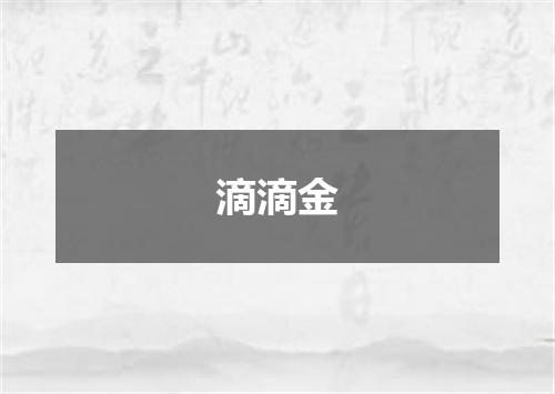 滴滴金