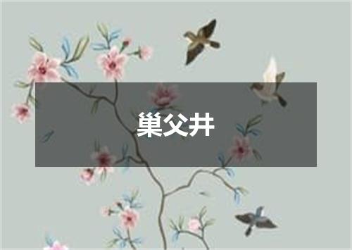 巢父井