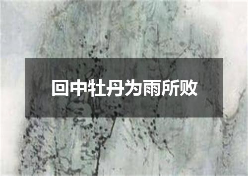 回中牡丹为雨所败