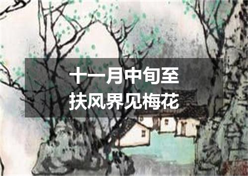 十一月中旬至扶风界见梅花