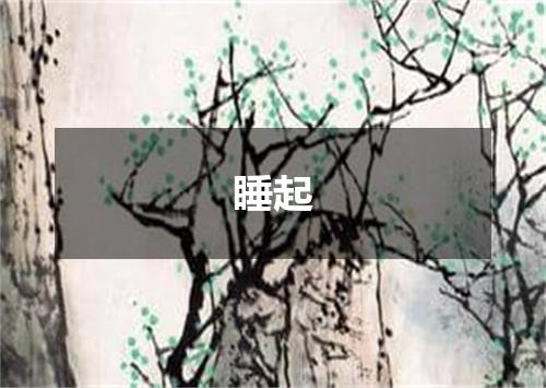 睡起