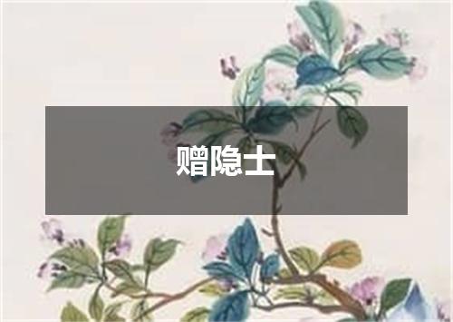 赠隐士