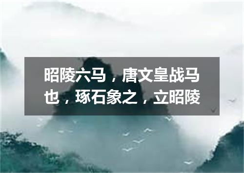 昭陵六马，唐文皇战马也，琢石象之，立昭陵