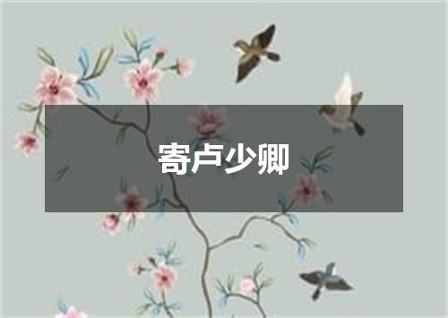 寄卢少卿