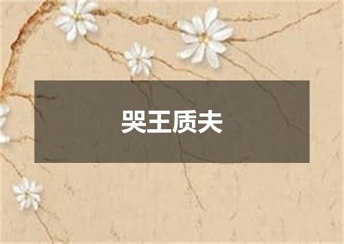 哭王质夫