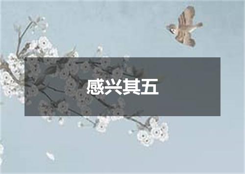 感兴其五