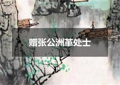 赠张公洲革处士