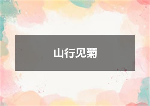 山行见菊