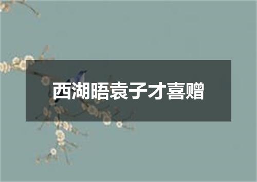 西湖晤袁子才喜赠