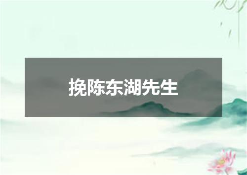挽陈东湖先生