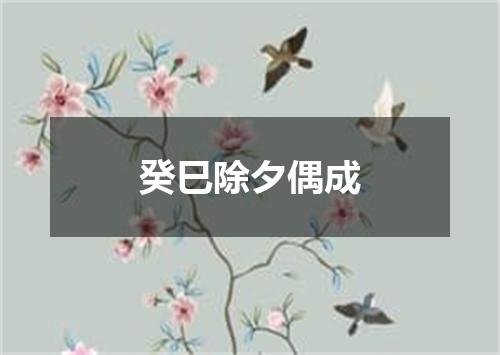 癸巳除夕偶成