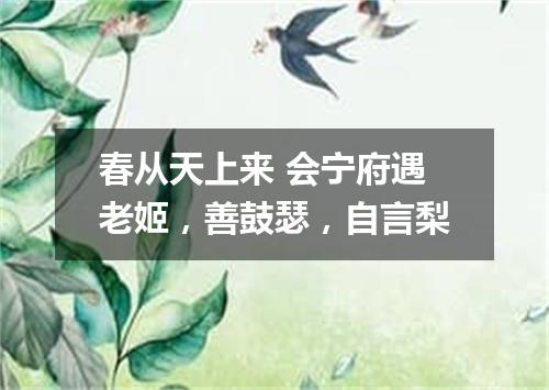 春从天上来 会宁府遇老姬，善鼓瑟，自言梨