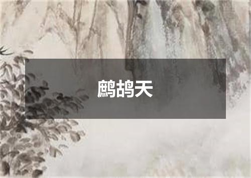 鹧鸪天