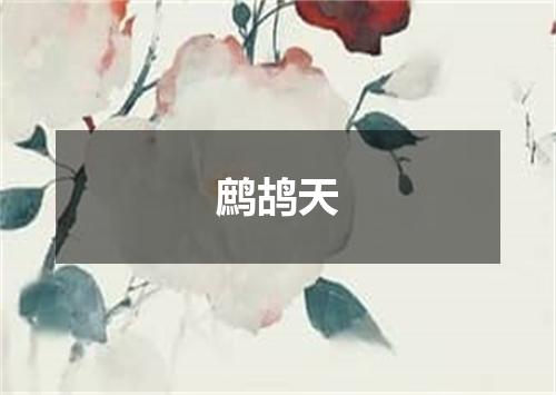 鹧鸪天