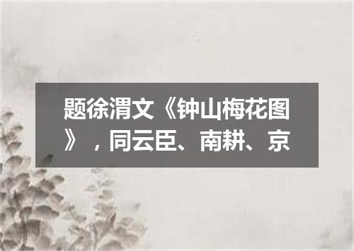 题徐渭文《钟山梅花图》，同云臣、南耕、京